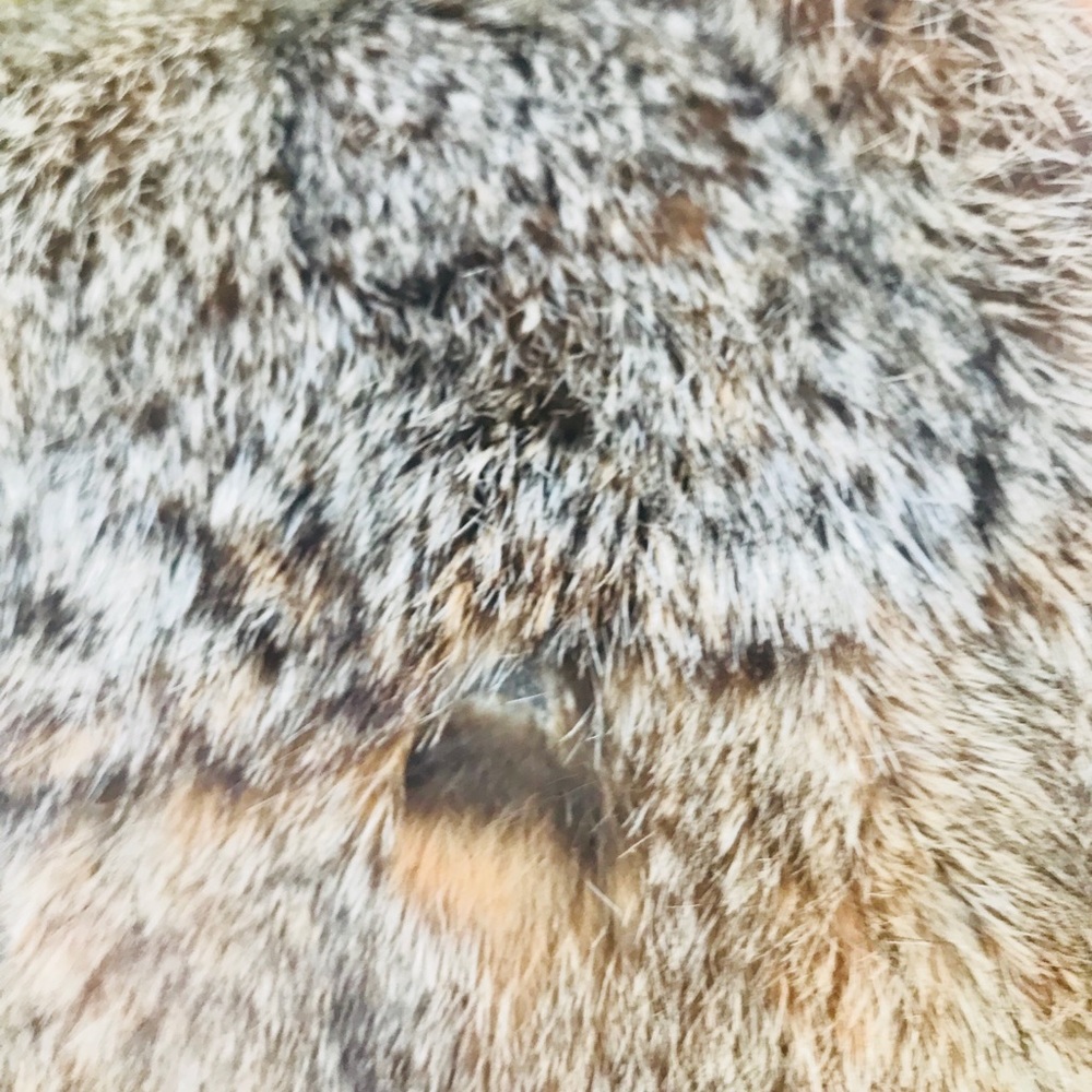 Rabbit Fur Jacket - Picture 8 of 8